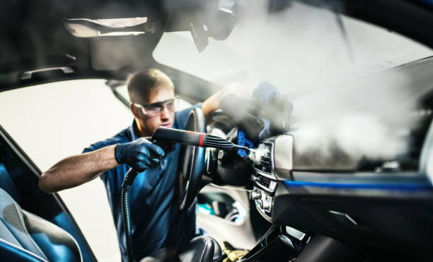 Best Air Duct Mold Removal  in Meriden, CT